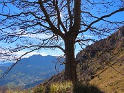 Ai faggi secolari del Menna dal Passo dell’orso ad anello da Zorzone – 27ott25   -  FOTOGALLERY